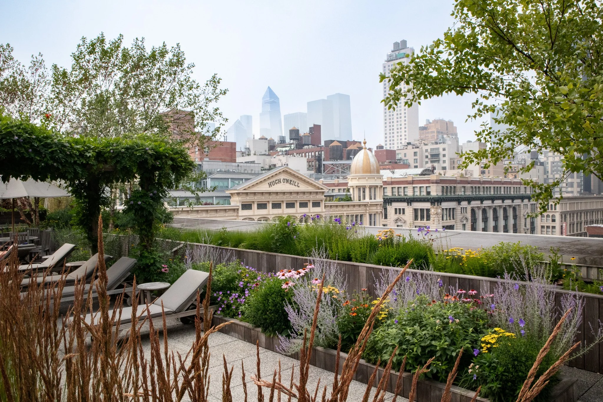 Flatiron Rooftop — Blue Dahlia